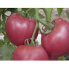 Tomate rose de Berne 500gr