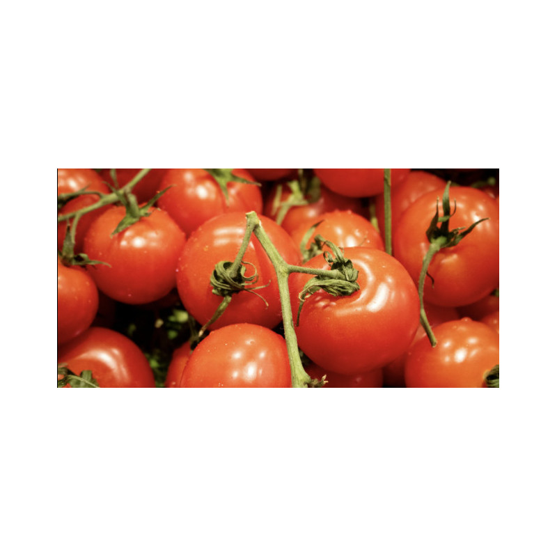 Tomate ronde paola1kg