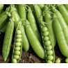 Petits pois à écosser 250gr