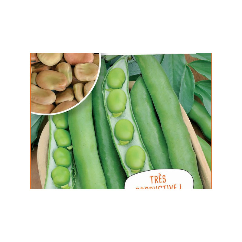 Feve 500gr