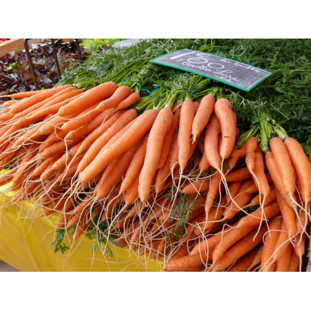 Carottes botte primeurs 500 gr