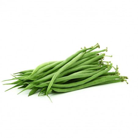 Haricot vert fin 250GR