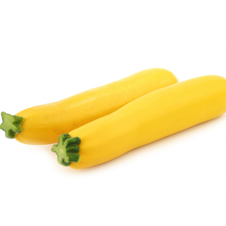 COURGETTE JAUNE 500GR