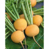 NAVET JAUNE 500GR