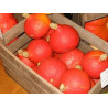 POTIMARRON 1kg POTIMARRON 1kg
