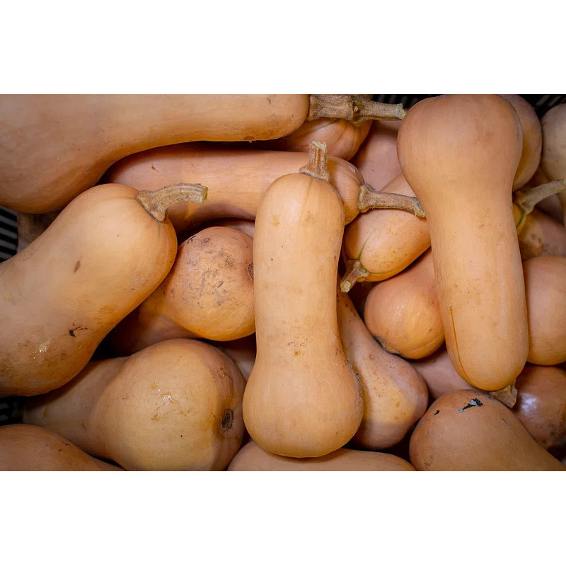 Butternut à la piece
