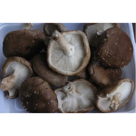 Shiitakés 250gr